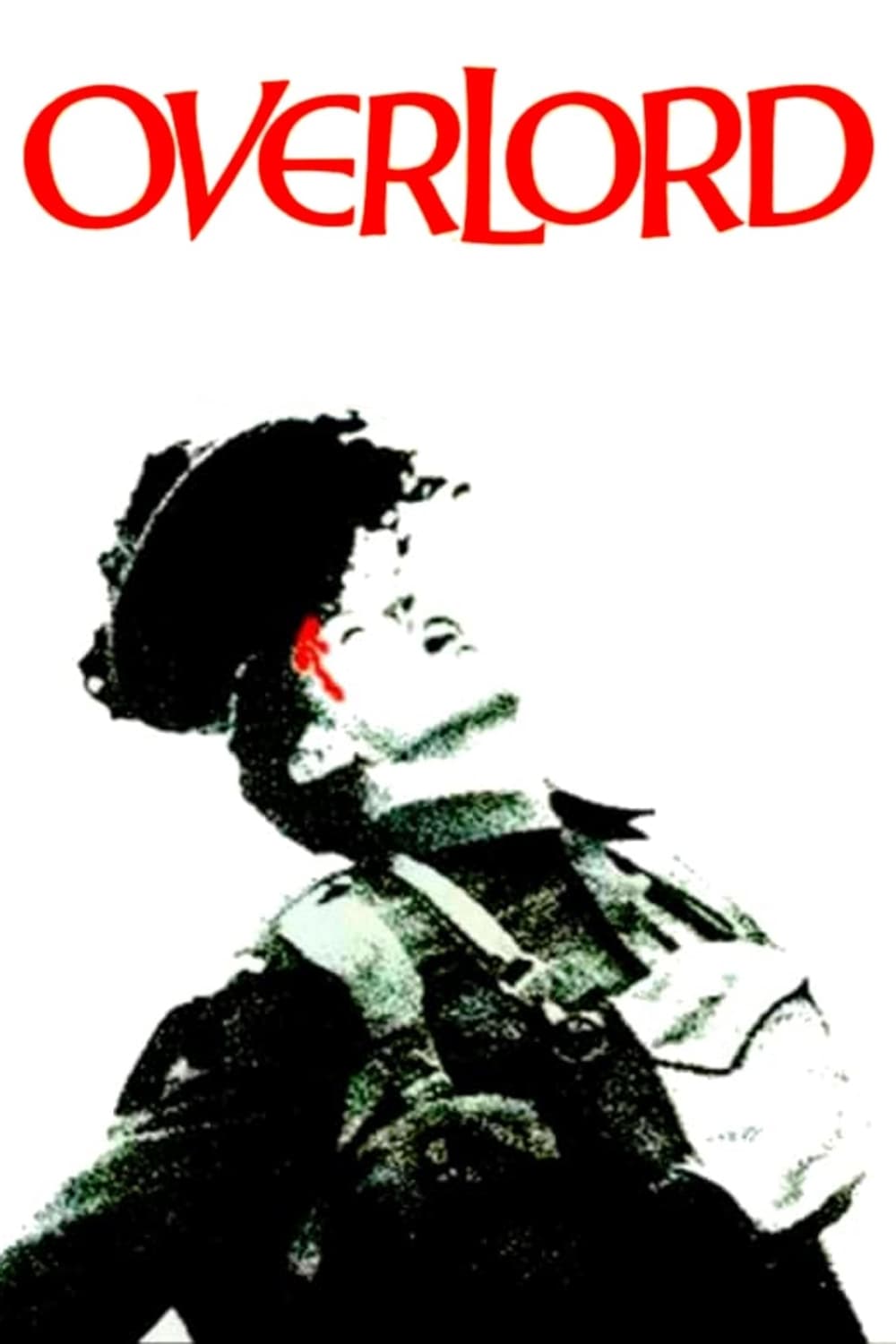 video-section-banner-image